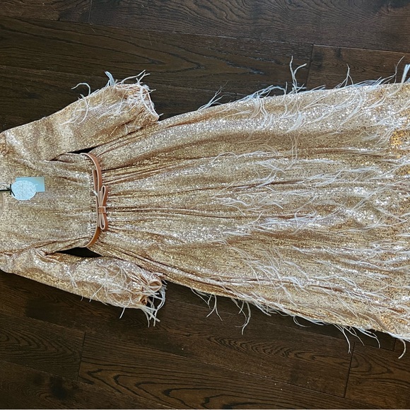 ANTONIO MELANI Rose Gold Sequin Feather Maxi Dress - Picture 2 of 6